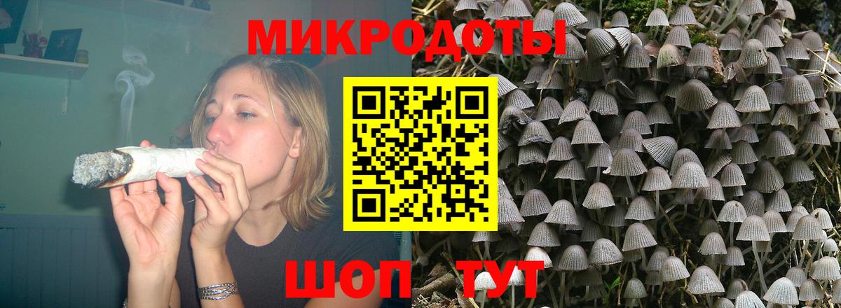 Галлюциногенные грибы прущие грибы  Галлюциногенные грибы MAGIC MUSHROOMS  Вход с VPN  Кондопога 